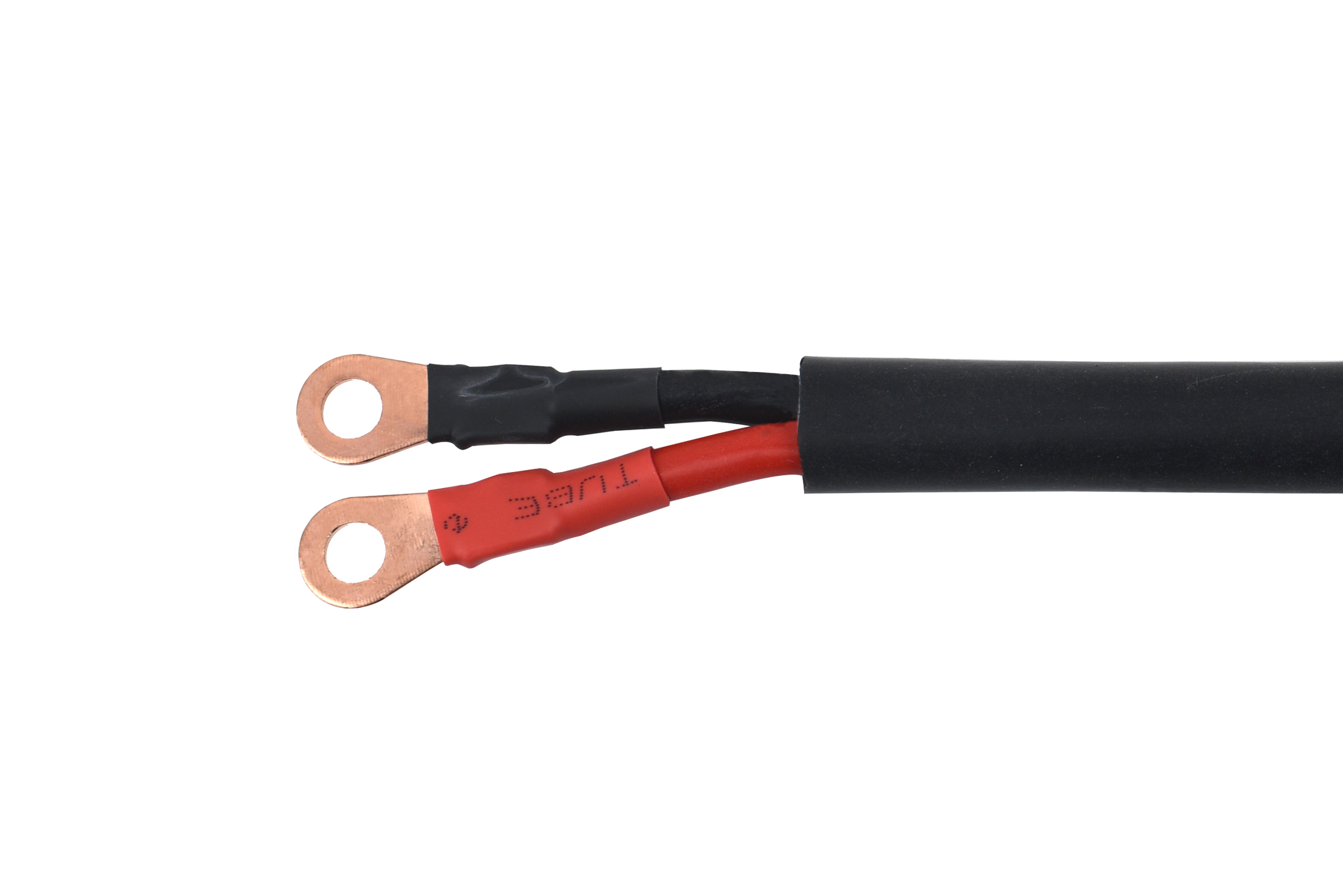 12V 20A Battery Charger