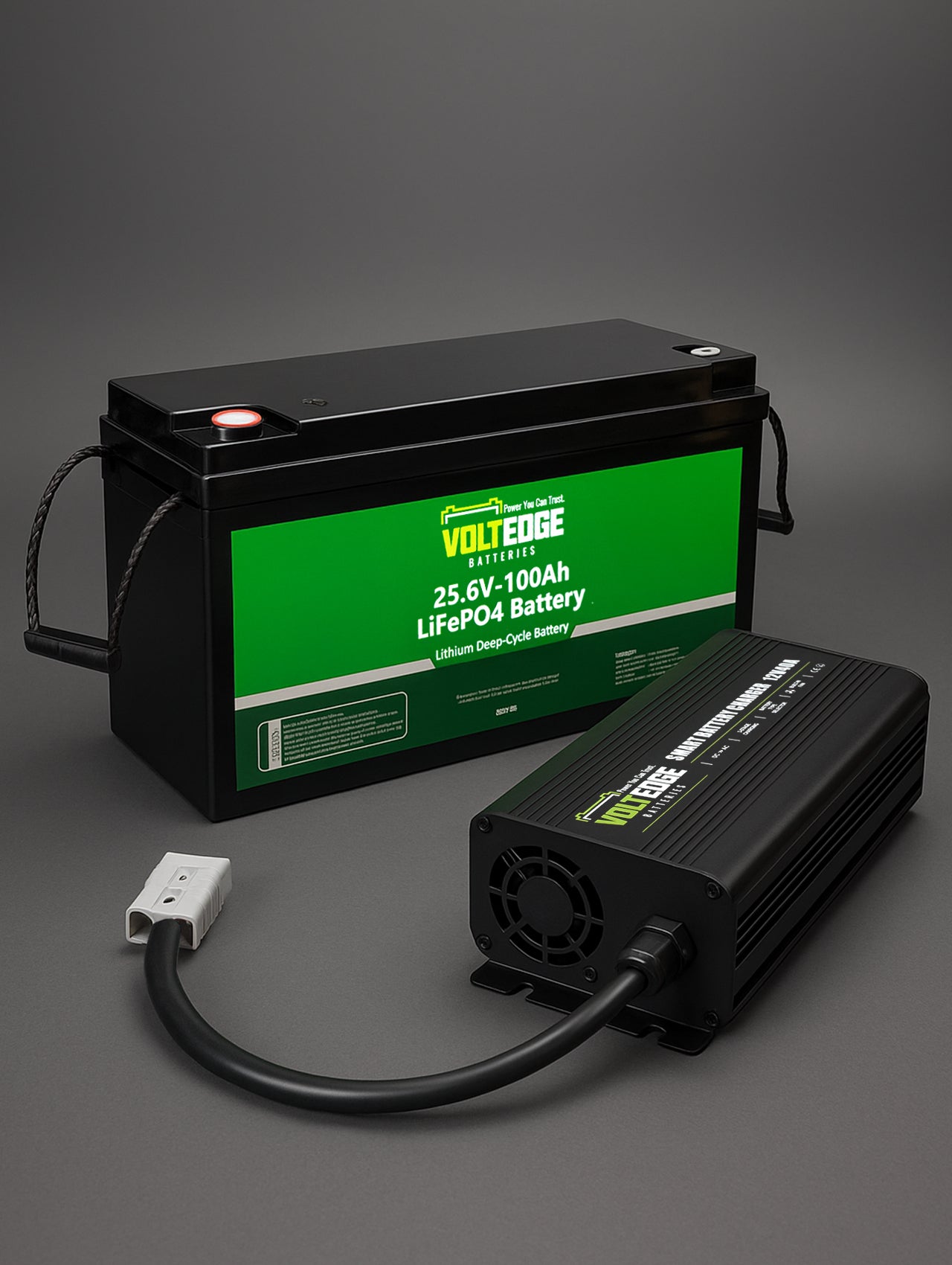 VoltEdge (Premium) 24V 100AH Lithium LiFePO4 Battery + 24V 20A Battery Charger